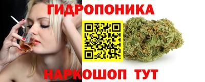 прущий лед Тара