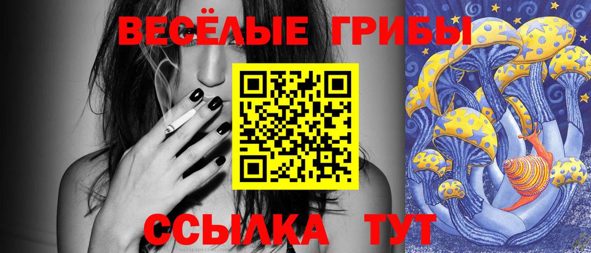 Псилоцибиновые грибы MAGIC MUSHROOMS Назрань