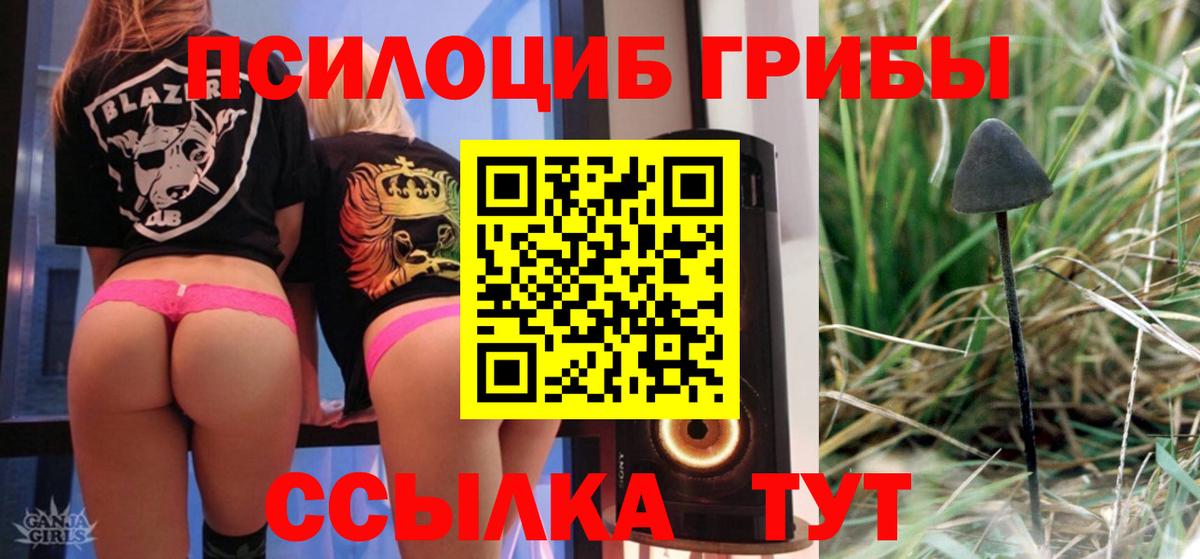 сколько стоит  Галлюциногенные грибы прущие грибы  Назрань  Вход с VPN  Галлюциногенные грибы Magic Shrooms 
